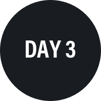 day 3
